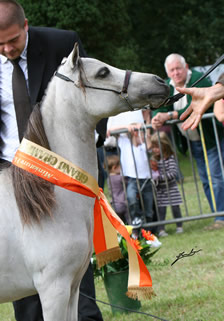 Phantom forever au concours du Plessis-Brion